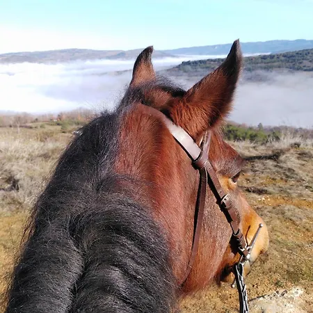 De Lamourade Saint-Ferriol