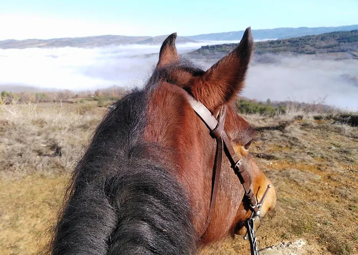 De Lamourade Saint-Ferriol